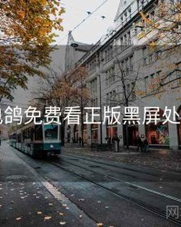 电鸽免费看正版黑屏处理