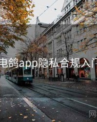 电鸽app隐私合规入门