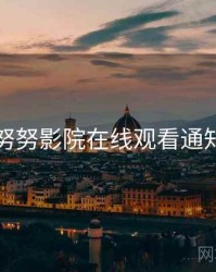 关于努努影院在线观看通知设置