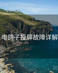 电鸽子投屏故障详解