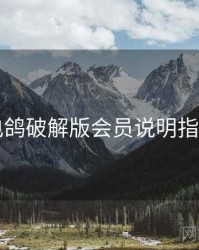 电鸽破解版会员说明指南