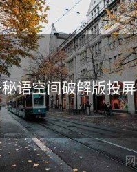 关于秘语空间破解版投屏故障