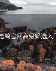 电鸽官网高级筛选入门