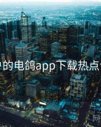 面向用户的电鸽app下载热点话题盘点
