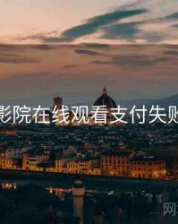 努努影院在线观看支付失败排查