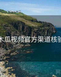 木瓜视频官方渠道核验