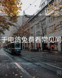 关于电鸽免费看常见问题