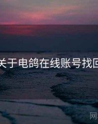 关于电鸽在线账号找回