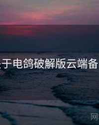 关于电鸽破解版云端备份