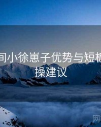 秘语空间小徐崽子优势与短板剖析实操建议