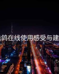 电鸽在线使用感受与建议