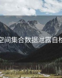 秘语空间集合数据泄露自检步骤