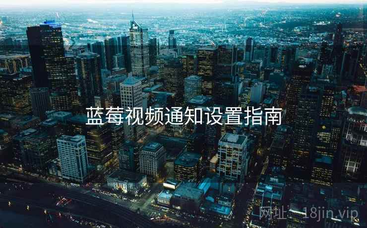 蓝莓视频通知设置指南