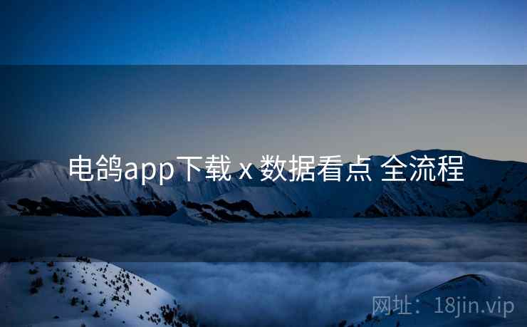 电鸽app下载 x 数据看点 全流程