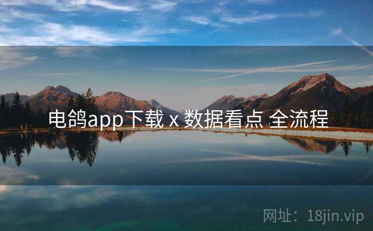 电鸽app下载 x 数据看点 全流程