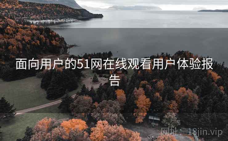 面向用户的51网在线观看用户体验报告