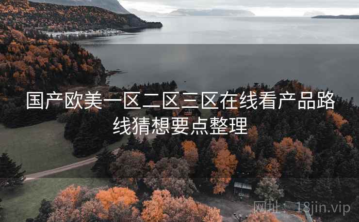 国产欧美一区二区三区在线看产品路线猜想要点整理