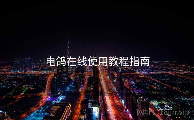 电鸽在线使用教程指南