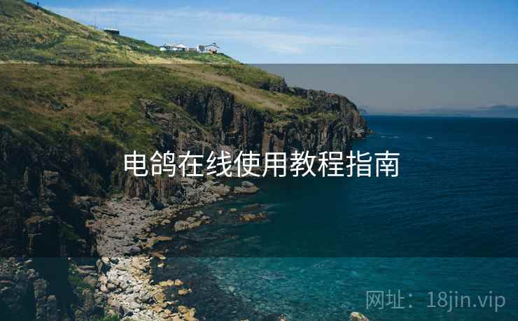 电鸽在线使用教程指南