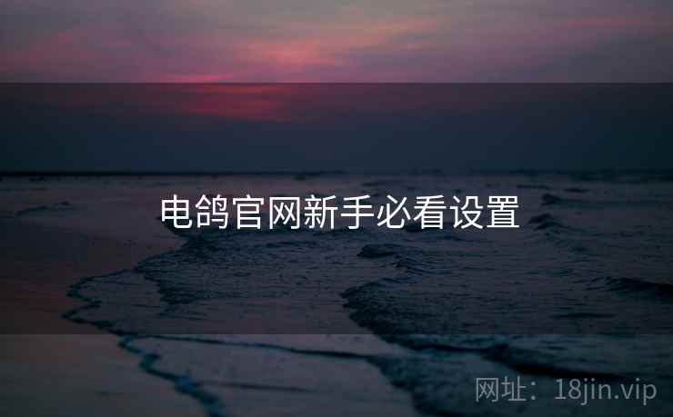 电鸽官网新手必看设置