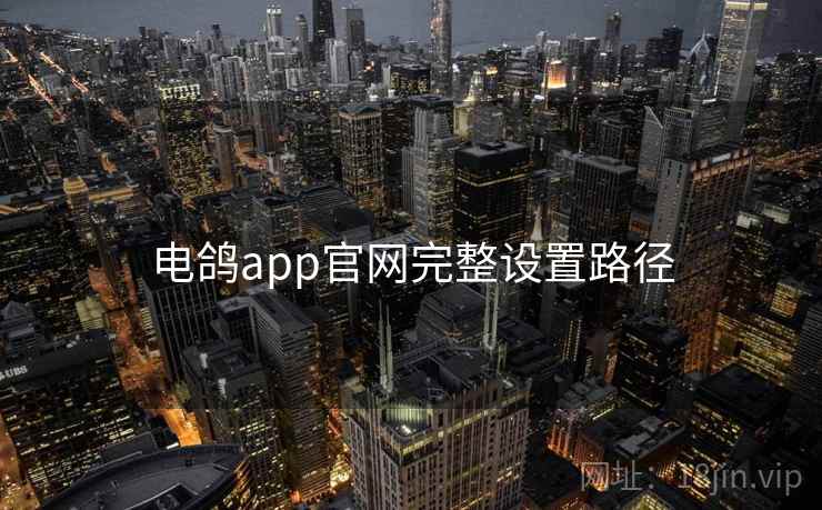 电鸽app官网完整设置路径