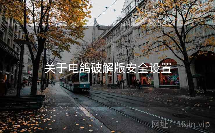 关于电鸽破解版安全设置