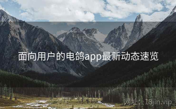 面向用户的电鸽app最新动态速览