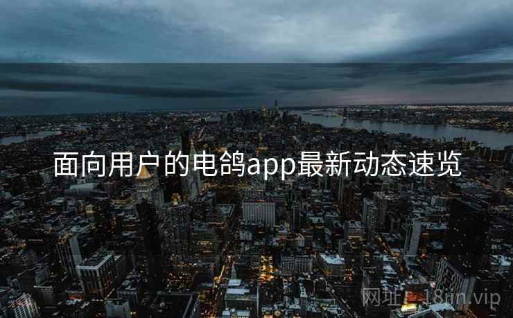 面向用户的电鸽app最新动态速览