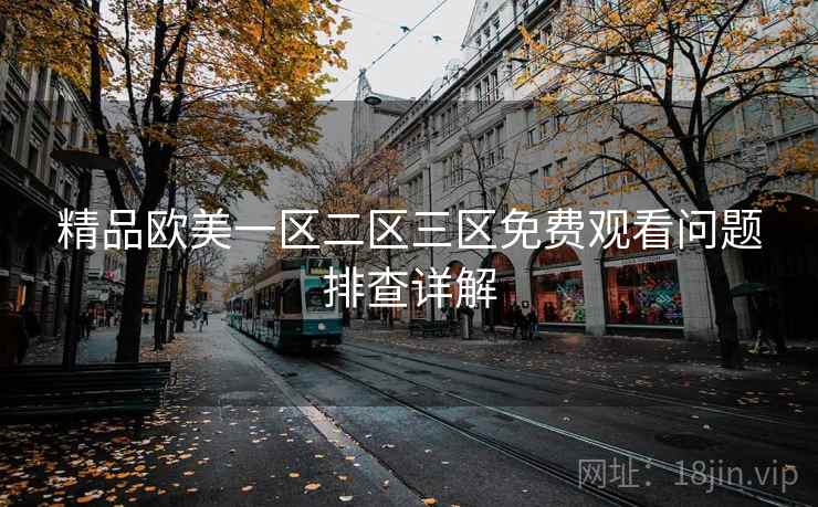 精品欧美一区二区三区免费观看问题排查详解
