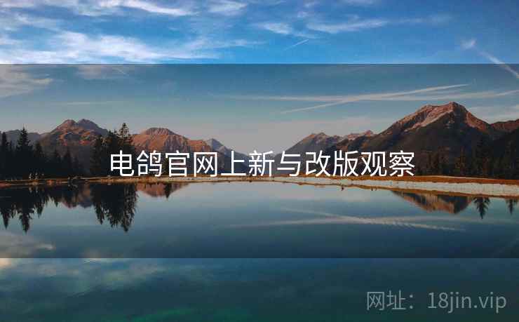 电鸽官网上新与改版观察