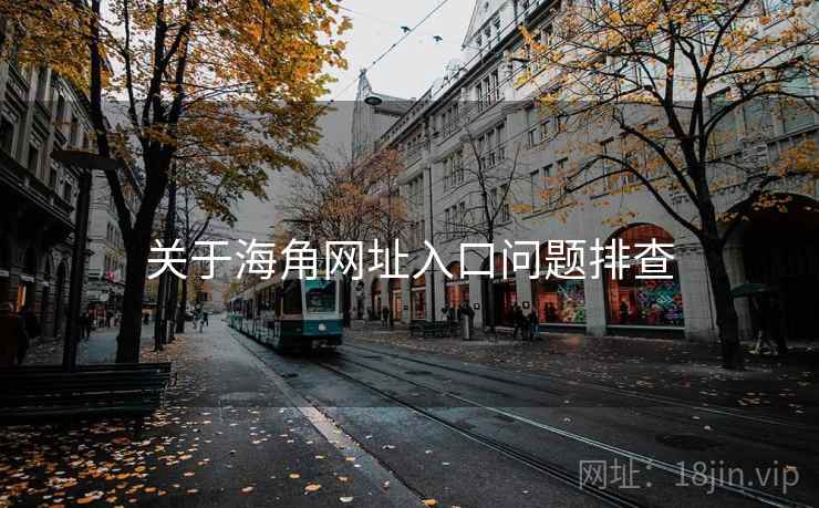 关于海角网址入口问题排查