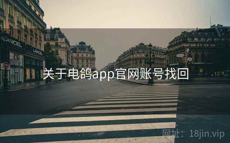 关于电鸽app官网账号找回
