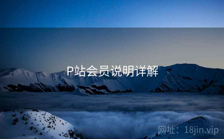 P站会员说明详解