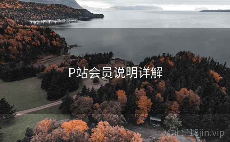 P站会员说明详解