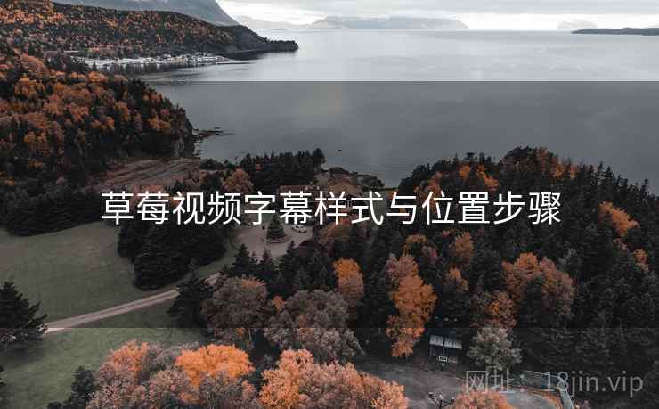 草莓视频字幕样式与位置步骤