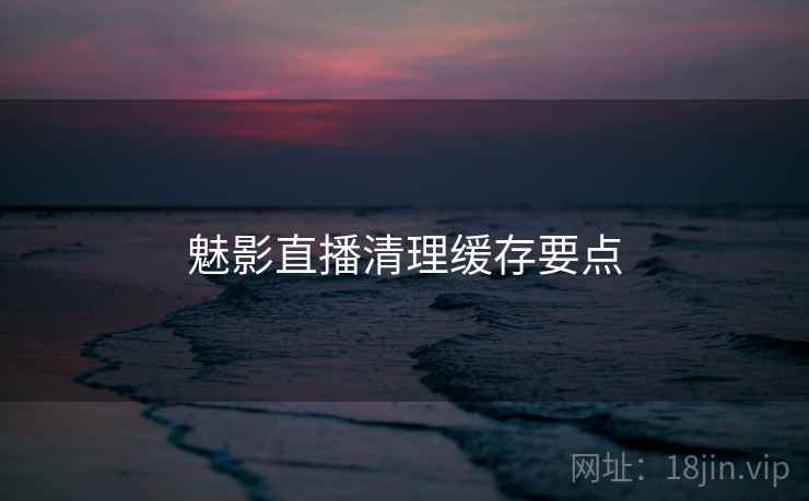 魅影直播清理缓存要点