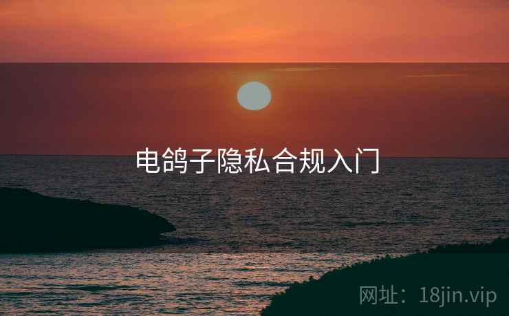 电鸽子隐私合规入门