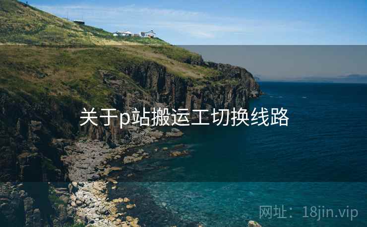 关于p站搬运工切换线路