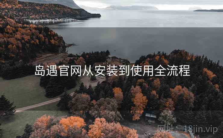 岛遇官网从安装到使用全流程