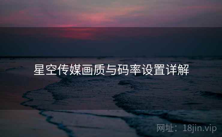 星空传媒画质与码率设置详解