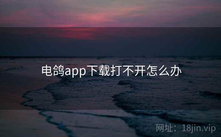 电鸽app下载打不开怎么办