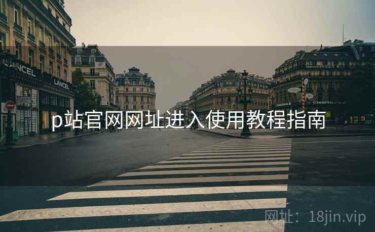 p站官网网址进入使用教程指南