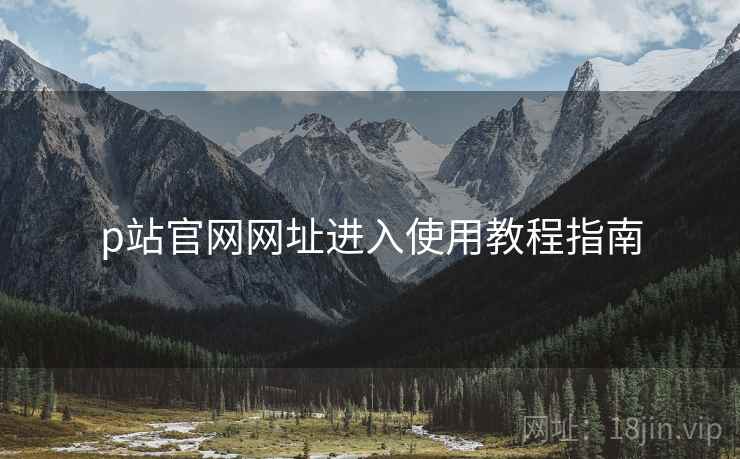 p站官网网址进入使用教程指南