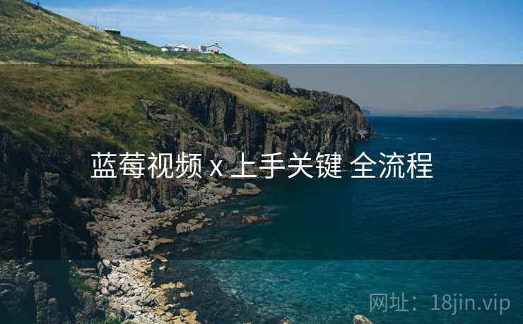 蓝莓视频 x 上手关键 全流程