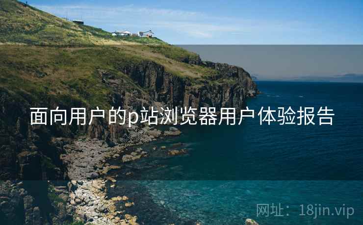 面向用户的p站浏览器用户体验报告