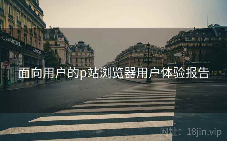 面向用户的p站浏览器用户体验报告