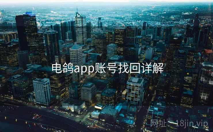 电鸽app账号找回详解