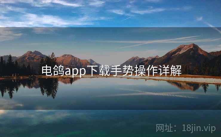 电鸽app下载手势操作详解