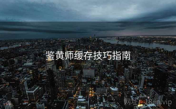 鉴黄师缓存技巧指南