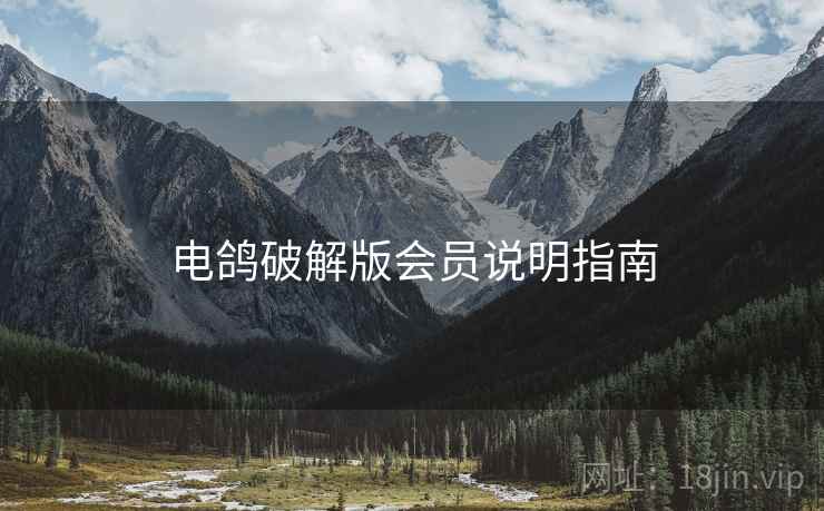电鸽破解版会员说明指南
